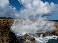 Seta Bokae La côte à couper le souffle de Seta Bok, à Curaçao, semble tout droit sortie d'un rêve. L'image capture l'essence d'une beauté sereine, avec un ciel peignant une palette de doux tons pastel, où le soleil fait lentement ses adieux. Les nuages dansent comme des coups de pinceau au-dessus d'un vaste horizon, comme s'ils attendaient la nuit.  Les rochers se dressent comme des sentinelles le long du rivage, stoïques mais imprégnés de la puissance de la mer qui les frappe sans relâche. Leurs surfaces rugueuses portent les marques du temps, chaque cicatrice racontant l'histoire de la lutte sans fin entre la terre et l'eau. Le bruit du ressac emplit l'air d'une symphonie apaisante, comme un rappel constant de la puissance de la nature.  La mer s'étend comme une couverture bleue sans fin, où les vagues se brisent dans une danse éternelle sur les rochers, écumant et éclaboussant dans un rythme apparemment sans fin. L'horizon s'estompe entre le ciel et la mer, la frontière entre les deux s'estompant dans une illusion envoûtante d'infini.  L'image dégage une atmosphère de calme et de mystère, où chaque vague et chaque formation nuageuse semblent raconter une histoire. C'est un instantané de la splendeur naturelle et une invitation à se promener dans l'enchantement intemporel de la côte enchanteresse de Seta Bok.