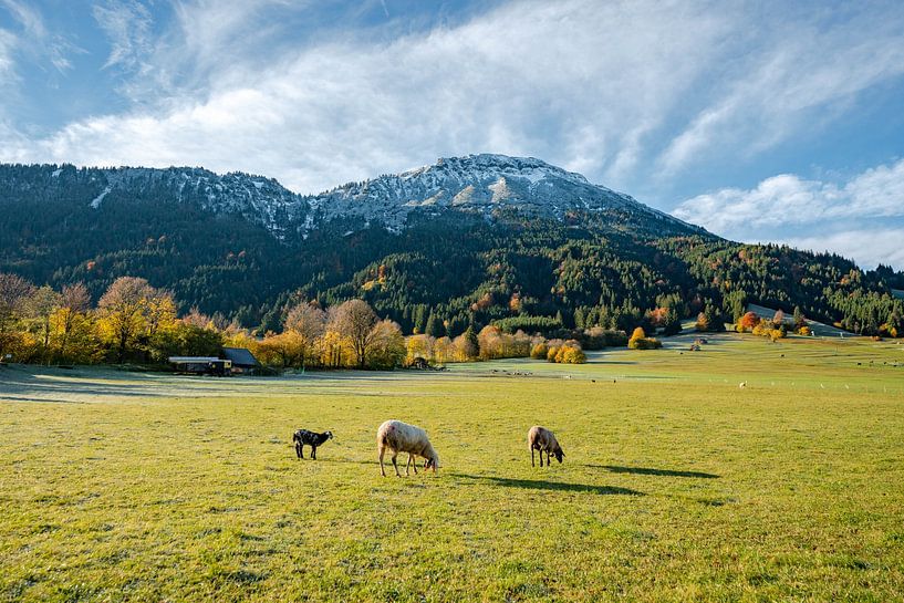 Breitenberg im Herbst mit Frost und Neuschnee von Leo Schindzielorz