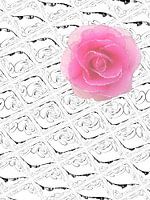 Pink tulle rose on white relief
