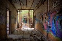 the door is always open