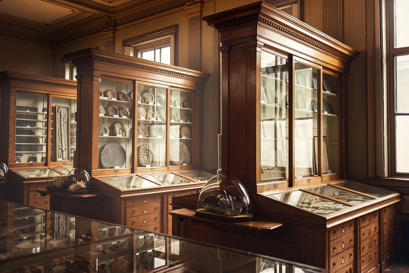 Teylers Museum | Fossiliensaal | 19. Jahrhundert | Wandmalerei von Laura Dijkslag