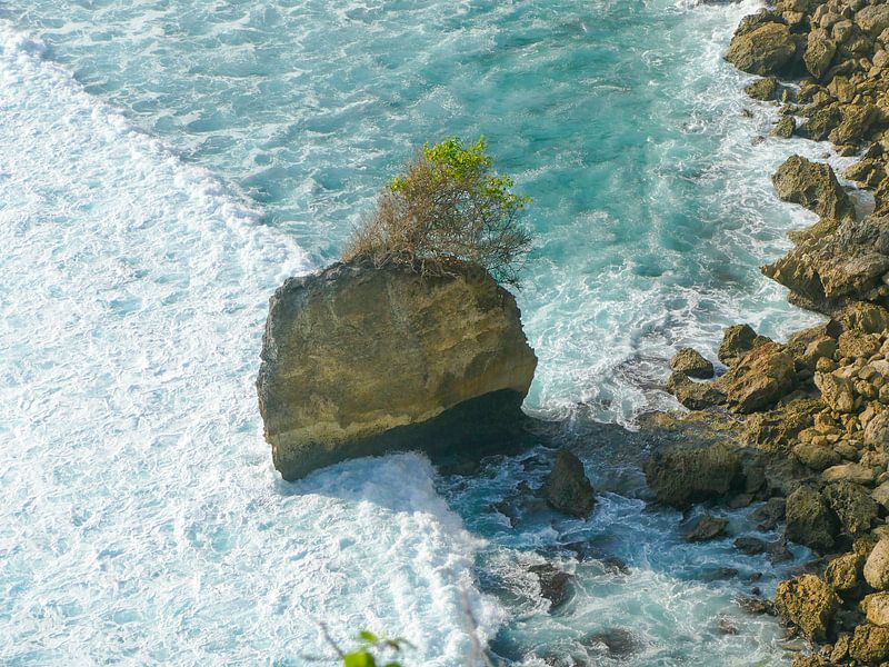 De woeste zee bij de rotsen van Uluwatu par Petra Brouwer
