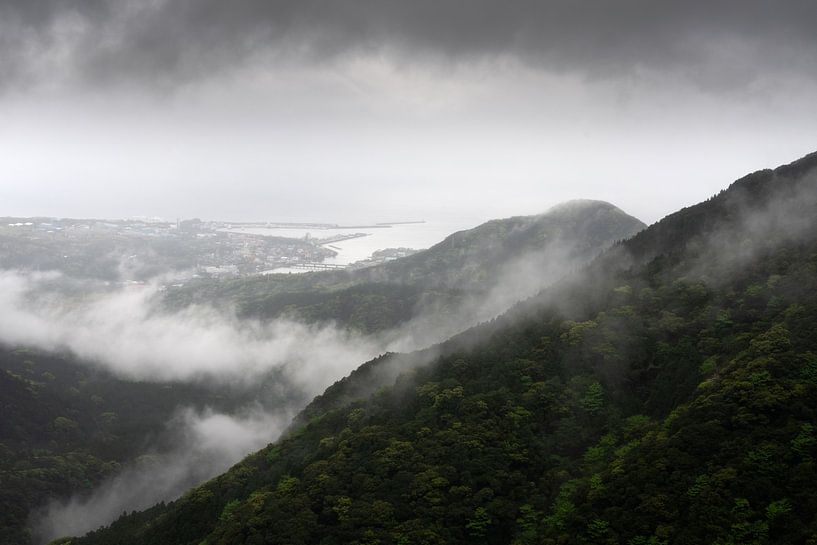 Île de Yakushima dans le sud du Japon par Anges van der Logt