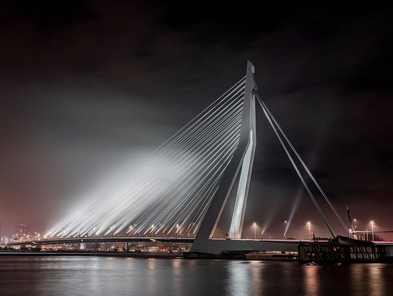 Erasmusbrücke bei Nebel von Trudiefotografie