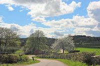 Traktor in französischer Landschaft