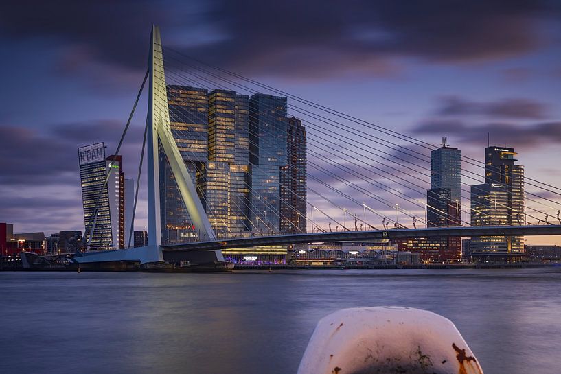 Ligne d'horizon de Rotterdam par gaps photography