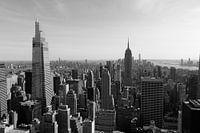 New Yorker Panaroma