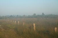 Engbertsdijksvenen 10