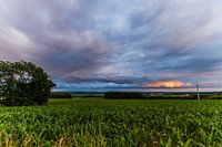 Den Himmel verbrennen