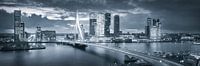 Skyline Rotterdam Erasmus Bridge - Metallic Grey