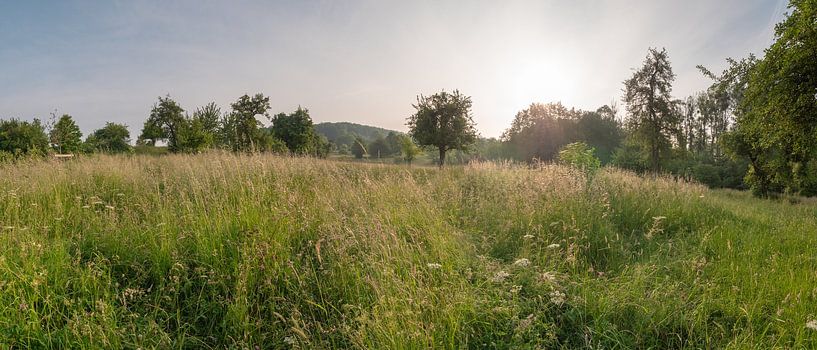 Bellet orchard in the South Limburg village of Cottessen by Max van Gils