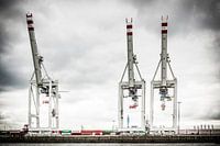 Three Harbour Cranes
