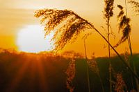 Rêve au coucher du soleil