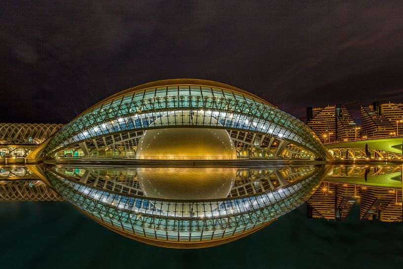 VILLE DES ART ET DES SCIENCES,VALENCE,ESPAGNE partie II par Gerrit de Groot