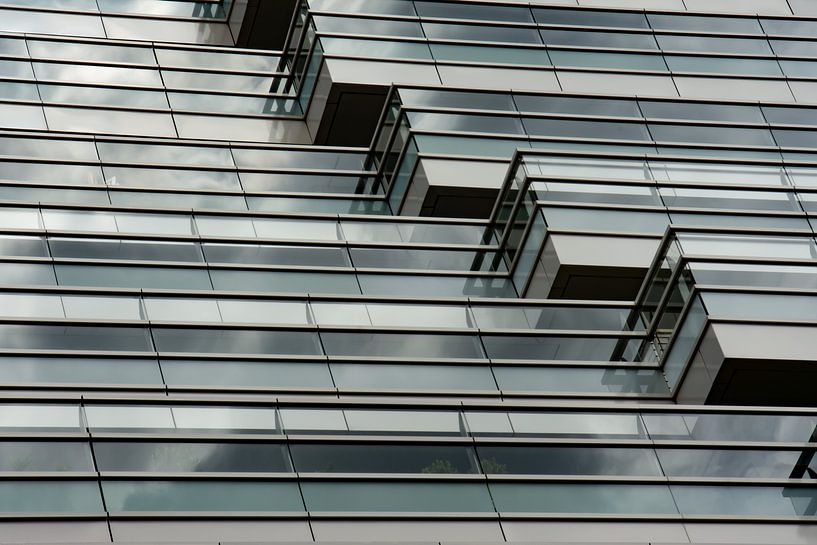 reflection by Jan van Voorst Vader