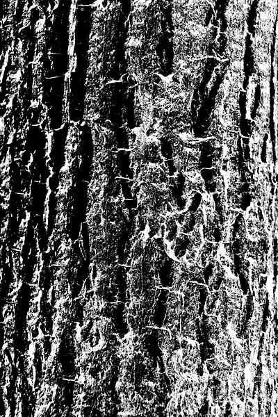 Salz der Erde von GeeeDeeeBeee