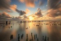Großartiger Sonnenuntergang am Wattenmeer