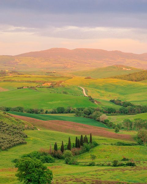 Magical light in Val d&#039;Orcia in Tuscany by Horst Husheer