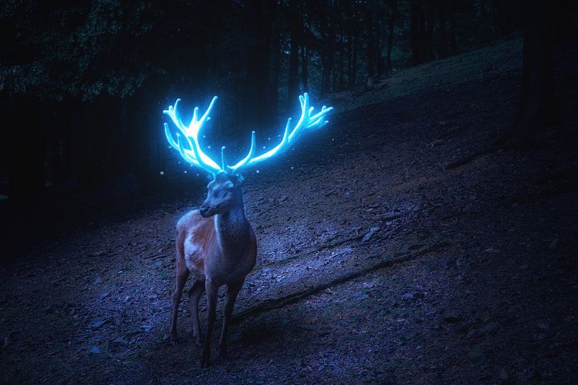 Stag with bright blue antlers by Oliver Henze