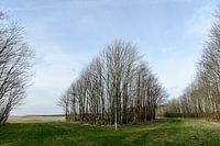 Innendeichs - Außendeichs Foto 20