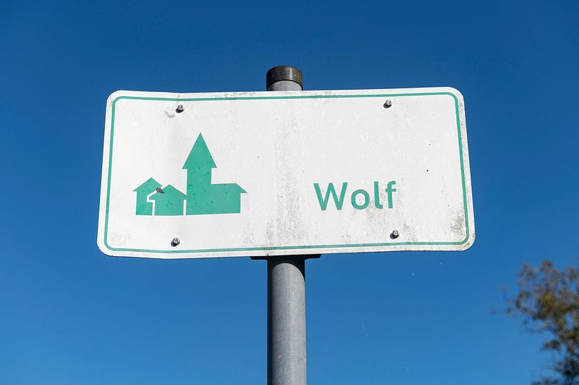 Loup par Richard Wareham