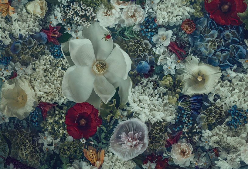 Magnolia Grandiflora by Marina de Wit