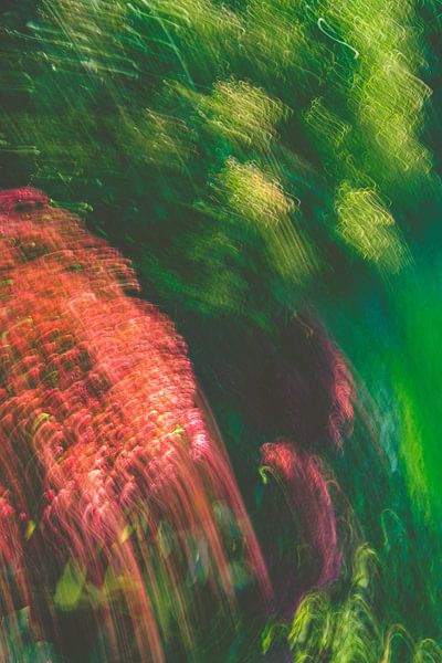 Green Yellow Red and some purple by Jan Peter Jansen