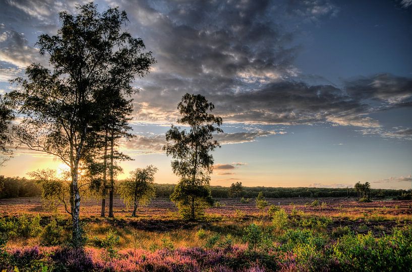 Sunset Den Treek Estate IV Amersfoort by Watze D. de Haan