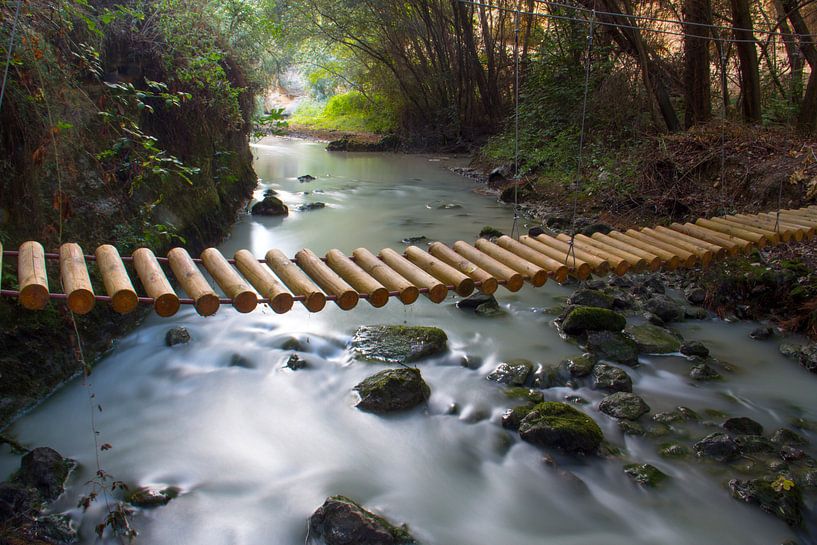 Le pont du tronc par Cornelis (Cees) Cornelissen