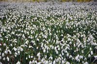 Lente in de Achterhoek