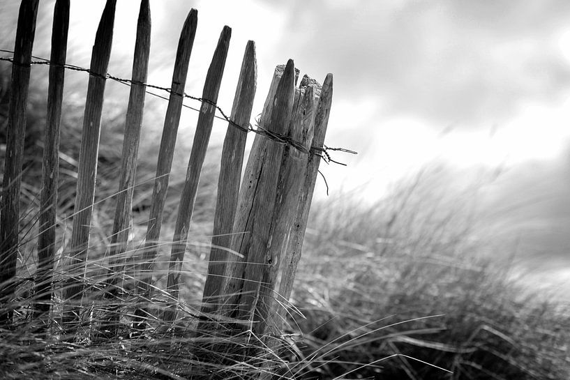 Dünen, Niederländische Küste (Schwarz-Weiß) von Rob Blok
