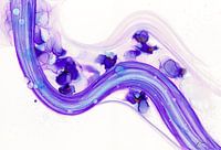 Abstract paars / 'mam' - collectie