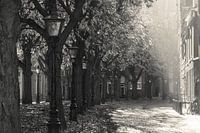 Die Leidener Brücke in Grautönen: Schwäne unter der Kirchenbrücke