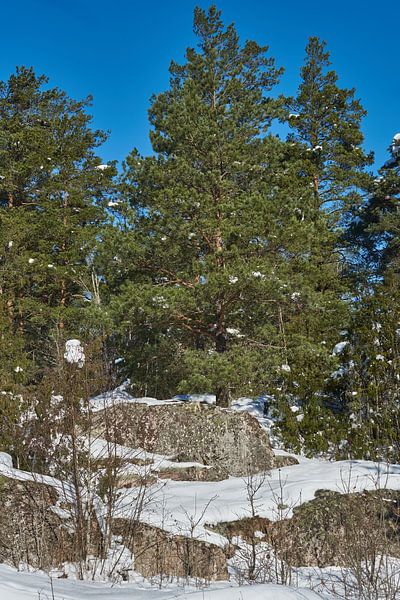 schweden281 von Geertjan Plooijer