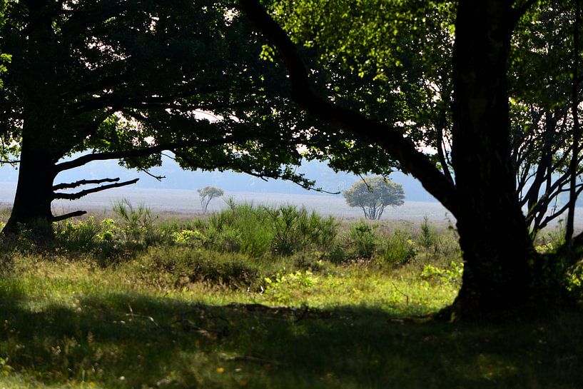 Un aperçu de la santé par Gerard de Zwaan