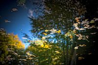 Spiegelungen im Wasser