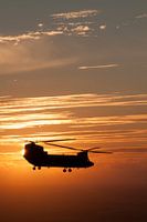 Sun Set Chinook