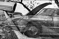 Mischtechnik einer Zitrone DS.