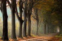 Es gibt Licht am Ende des Tunnels