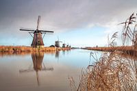 Windmills at Kinderdijk