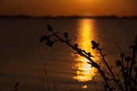 Sonnenuntergang auf dem Deich nach Marken