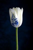 Fabriqué en Hollande ; tulipe blanche et bleu de Delft
