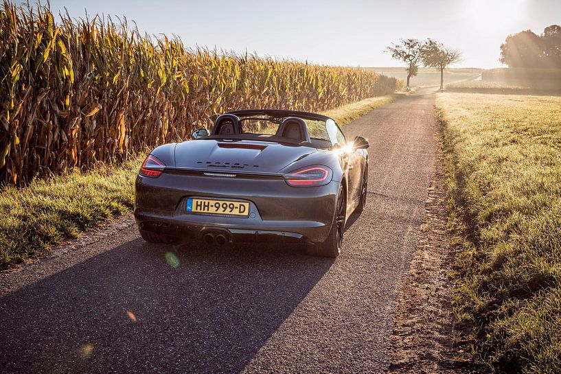 Porsche Boxster GTS type 981 par Rob Boon