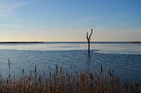 Blick über den Winter IJsselmeer
