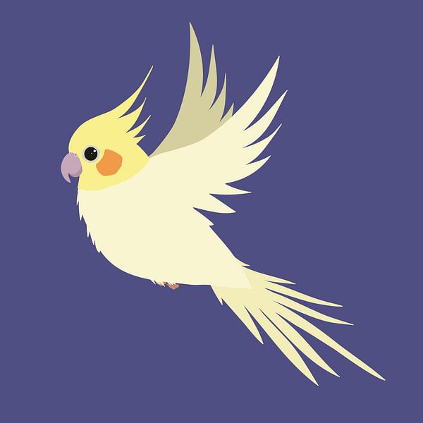 Fliegender Nymphensittich von Bianca Wisseloo