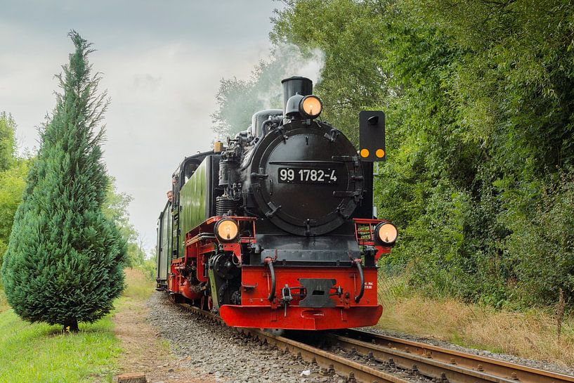 Rasender Roland | Insel Rügen von Panorama-Rundblick