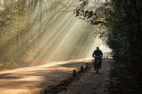 auf dem Nachhauseweg