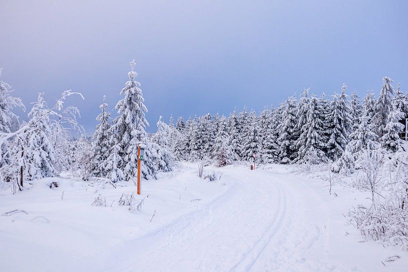 Tour de ski de fond par un temps impérial dans la forêt enneigée de Thuringe près de Floh-Seligenthal - Thuringe - Allemagne par Oliver Hlavaty