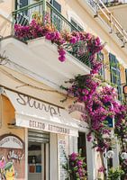 Gelato Artigianale und Bougainvillea - Bunte Straße in Italien, Südeuropa