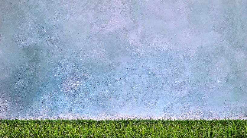 Herbe verte sur fond de béton bleu par Frank Heinz